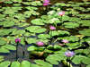 The Chedi Club boutique 